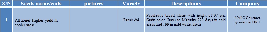 pamir-94 wheat seeds-1