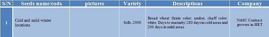solh-2000 wheat seed-1