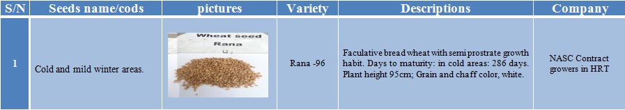 rana-96 wheat seeds-1