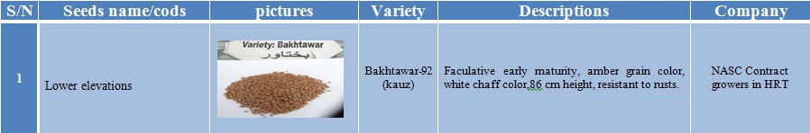 bakhtawar-92 wheat seed-1