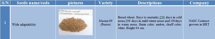 mazari-99 wheat seed-1