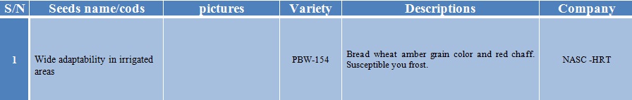 pbw-154 wheat seed-1