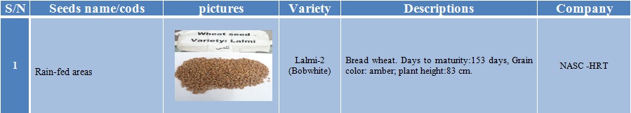 lalmi-2 wheat seed-1