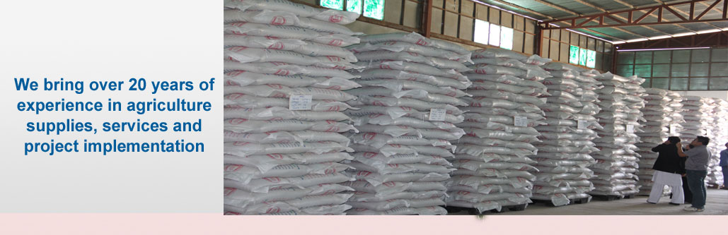 Noor Agriculture Seeds Company Wheat Seed Storage